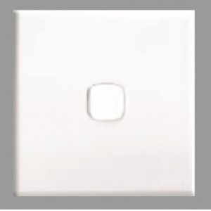 X5 Blank Plate W/Removabl Plug