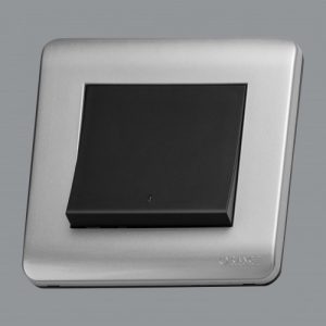 Orange Double Pole Switch Silver Matte